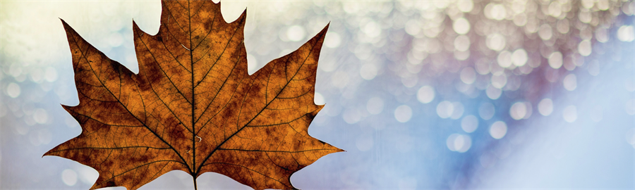 Alzheimer's Awareness Month