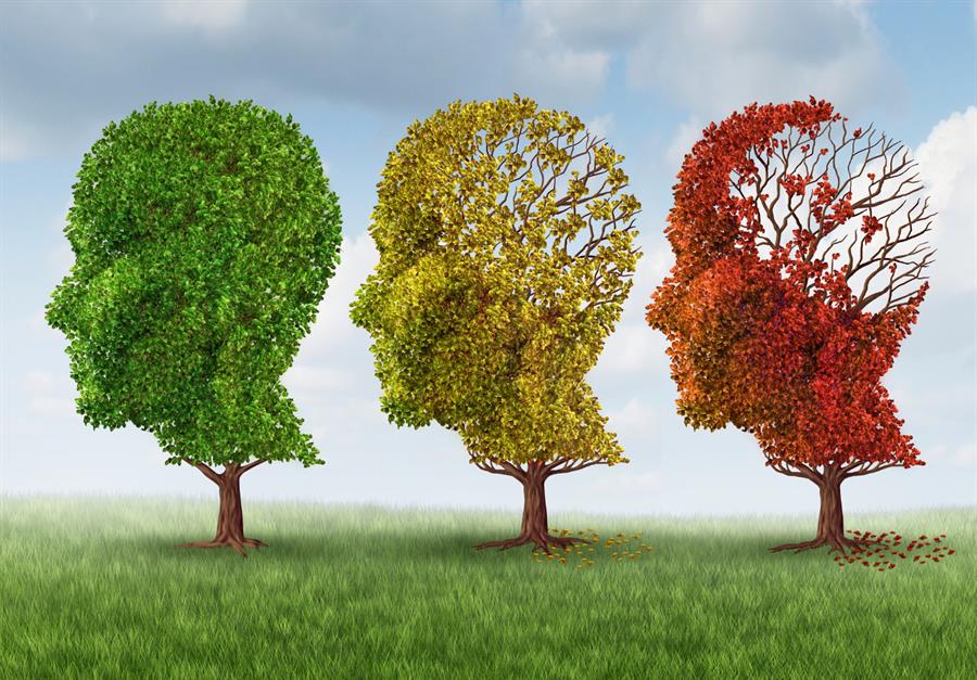 Delirium In The Elderly Patient Undergoing Elective And Non elective