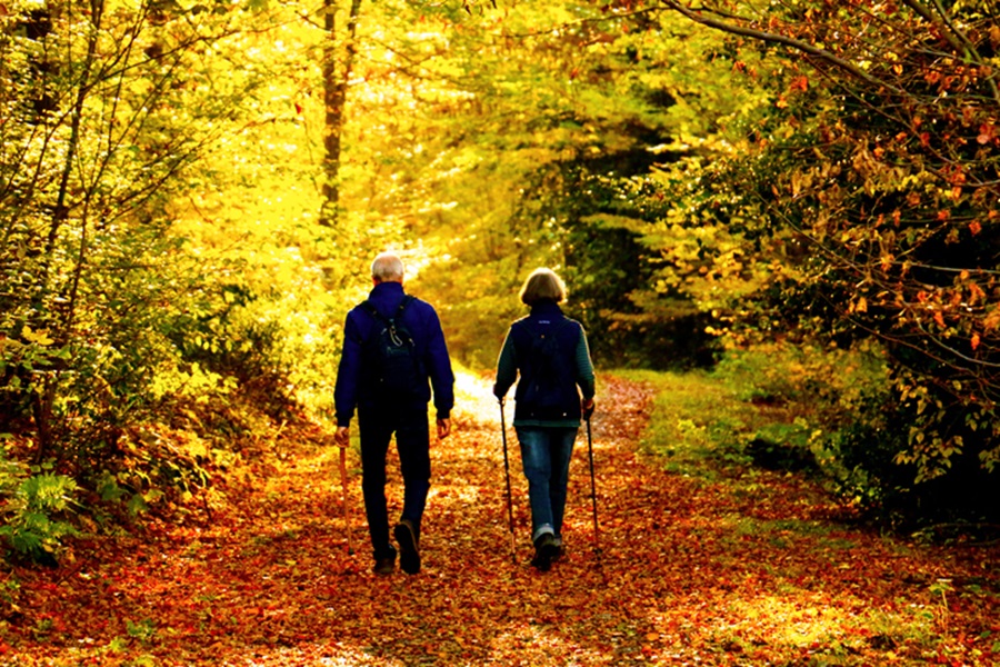 Five fall activities for older adults to boost well-being