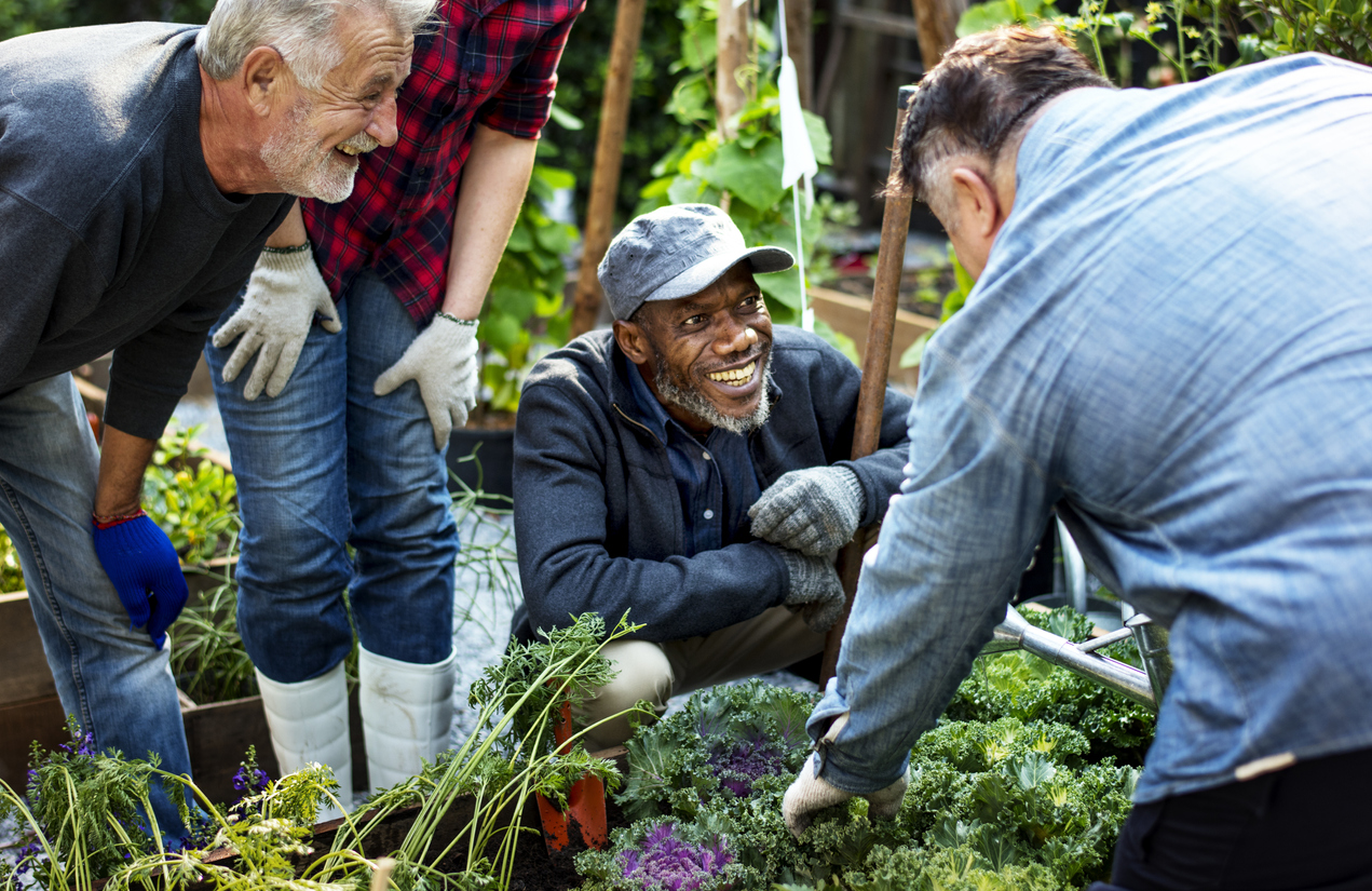 Horticultural therapy: Are there benefits to guided gardening?