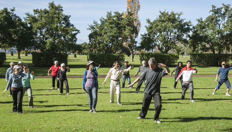 Tai chi class in the park.