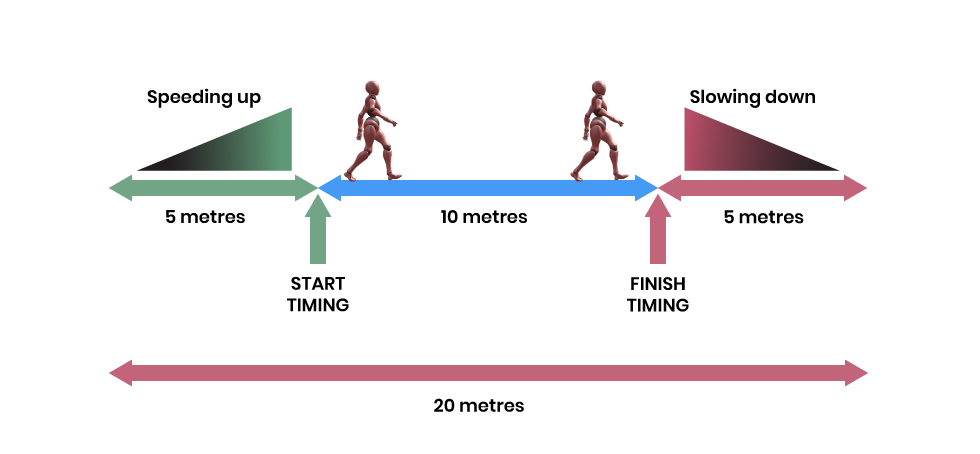 hierarki Rejse tiltale ~ side Walking Speed - Is It a Vital Sign | McMaster Optimal Aging Portal